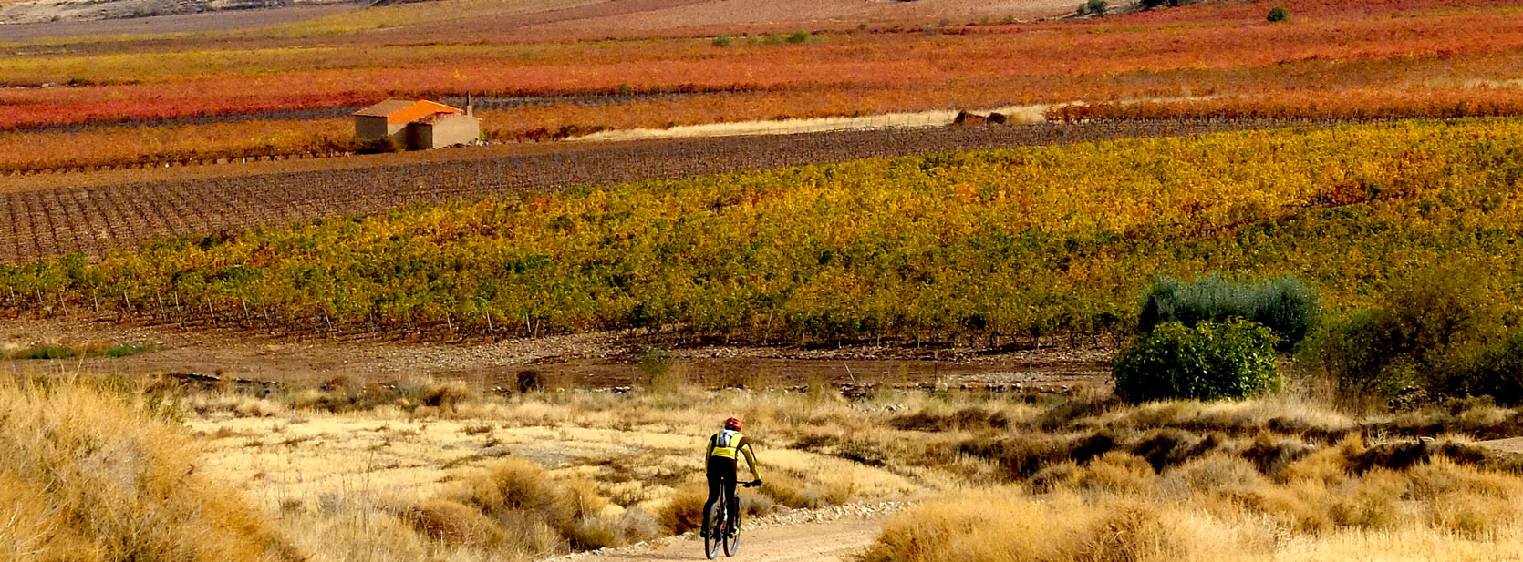 Biker in Yerga Range