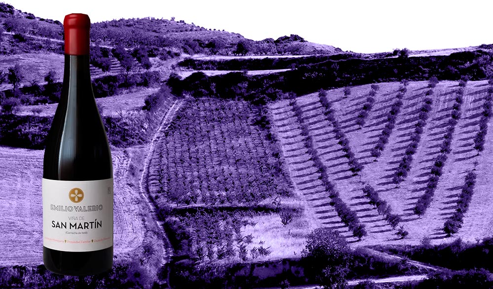 San Martín Emilio Valerio wine bottle