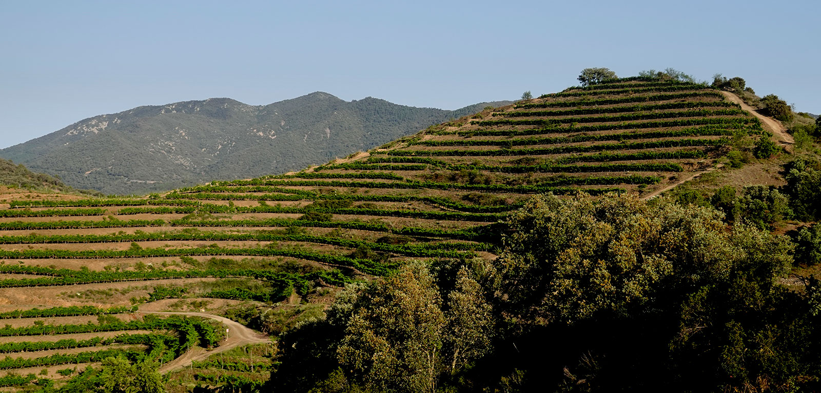 Priorat norte