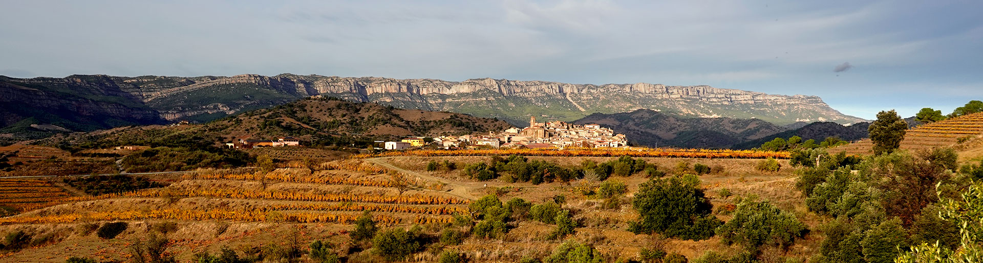 Pano-Priorat