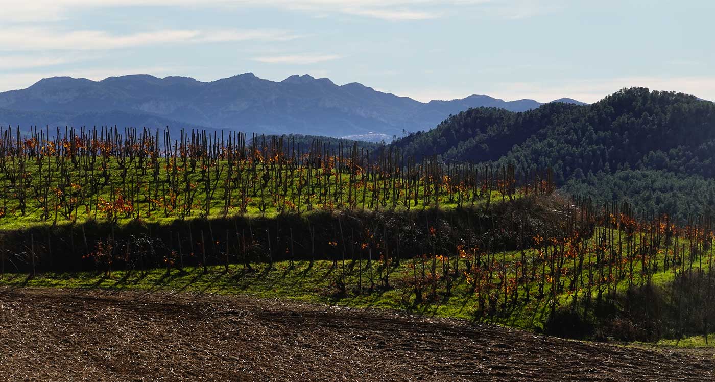 Terroir-Gil-1