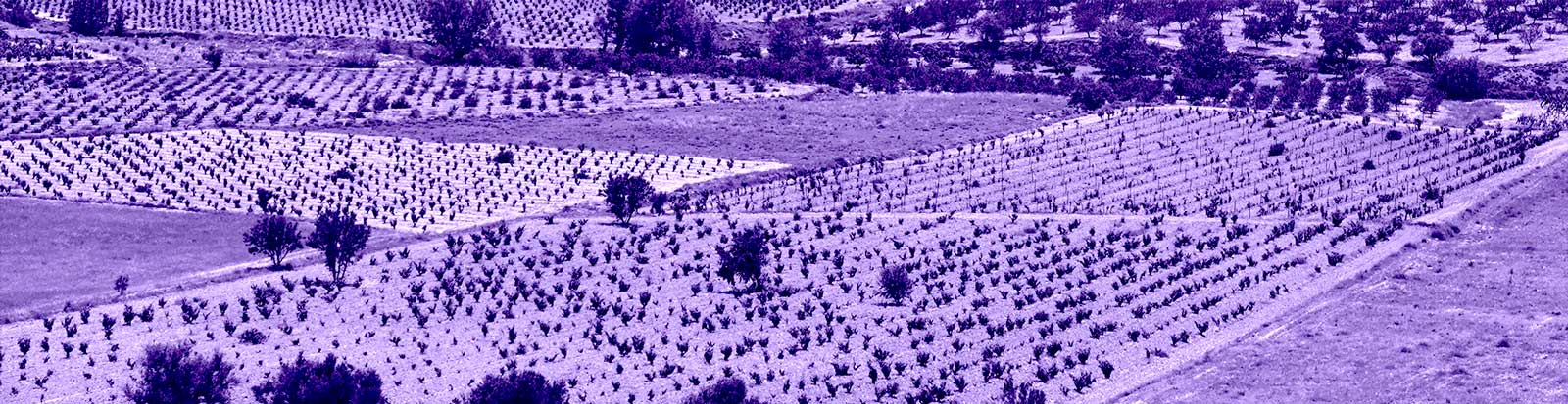 Aragon-Catalunya 10