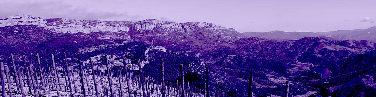 Aragon Catalunya 2