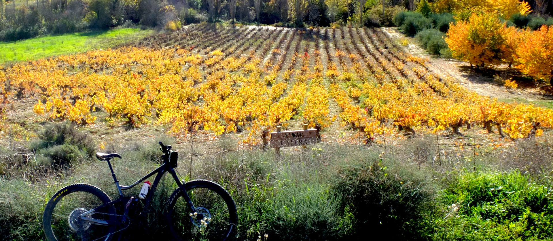 Terroir-Pyrenees-Navarra